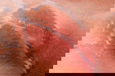 Creampie - VR Porn Category