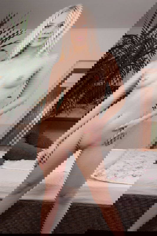 Nikki Hill - VR Porn Model