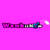 WankitNowVR - VR Porn Studio
