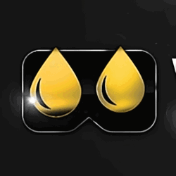 VirtualPee - VR Porn Studio