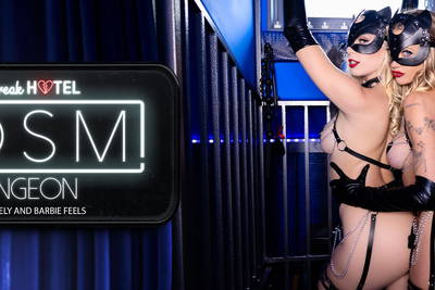 Heartbreak Hotel: BDSM Dungeon - VR Porn Video - Barbie Feels, Kay Lovely
